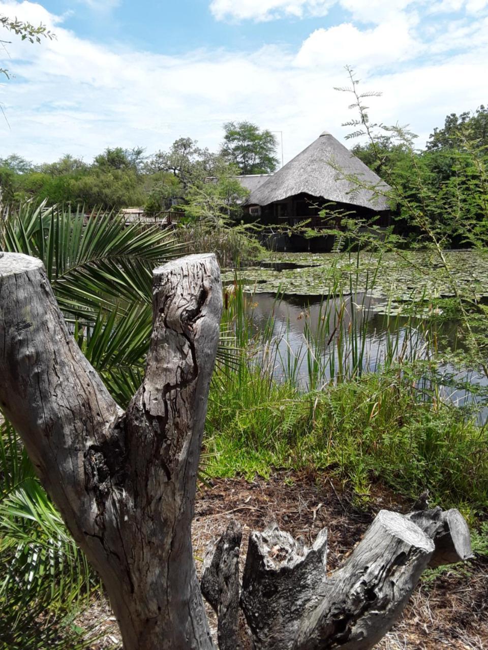 Bush Pub & Inn โฮดสปรูท ภายนอก รูปภาพ